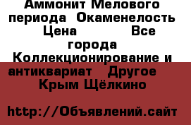 Аммонит Мелового периода. Окаменелость. › Цена ­ 2 800 - Все города Коллекционирование и антиквариат » Другое   . Крым,Щёлкино